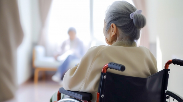 日本全国ランキング： 老人福祉施設　都道府県別登録件数ランキングの画像