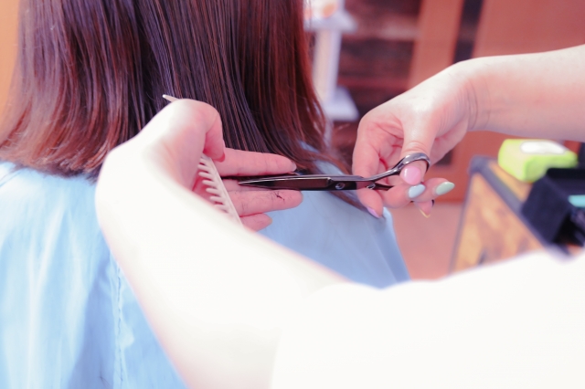 日本全国ランキング： 美容院　都道府県別登録件数ランキングの画像